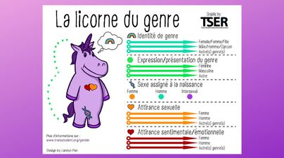 licorne du genre v2