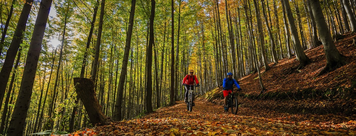 Gestion d'un réseau de sentiers de vélo de montagne