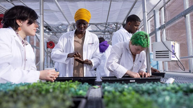 Agriculture urbaine - Étudiants dans la serre