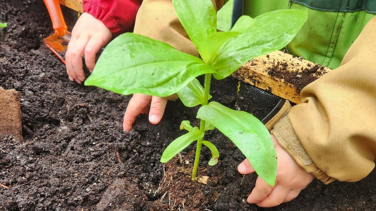 Atelier Fleurissons Le petit monde du Collège Ahuntsic