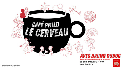 Café Philo - Cerveau