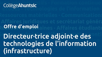 Emplois - Directeur adjoint des TI (infrastructure)