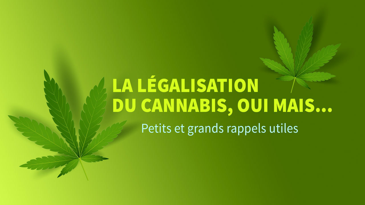 Legalisation Du Cannabis Petits Et Grands Rappels