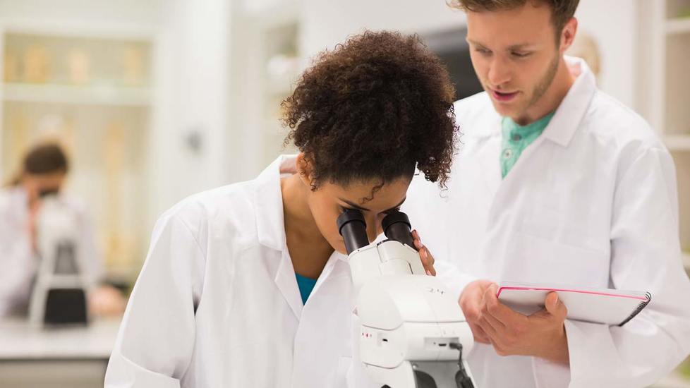 Science nat cours de synthèse en biologie