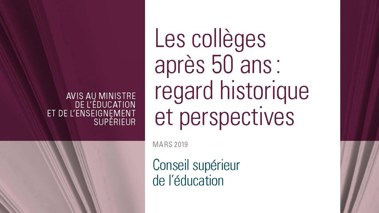 Avis conseil supérieur de l'éducation - rapport