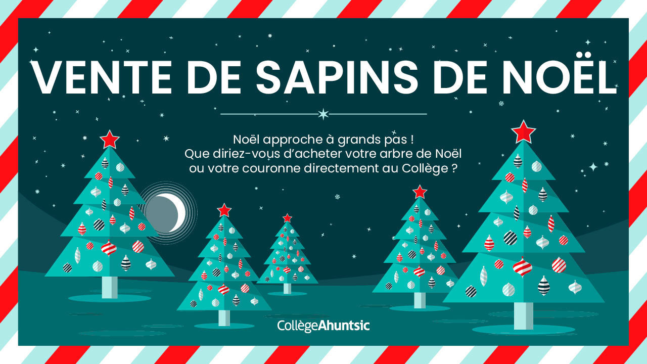 Vente de sapins de Noël