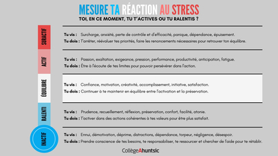 Outil pour vous aider à mesurer votre réaction face au stress