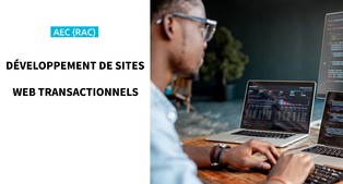 DÉVELOPPEMENT DE SITES WEB TRANSACTIONNELS (RAC)