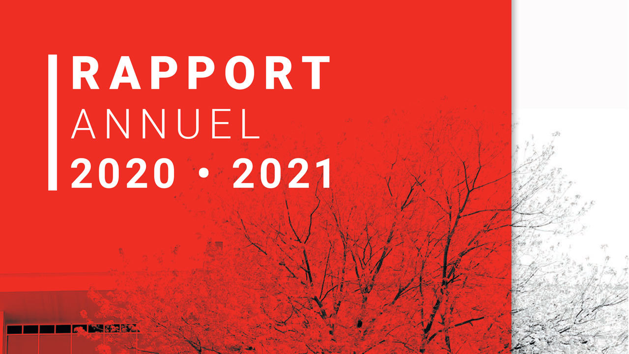 Le Rapport Annuel Est En Ligne