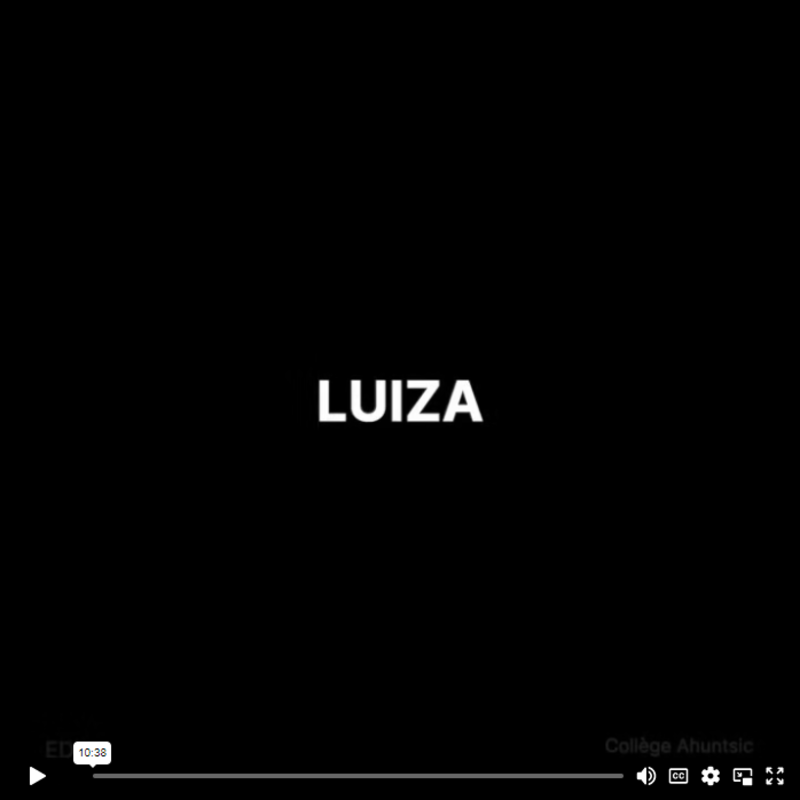 Liste de lecture Luiza - portail EDI